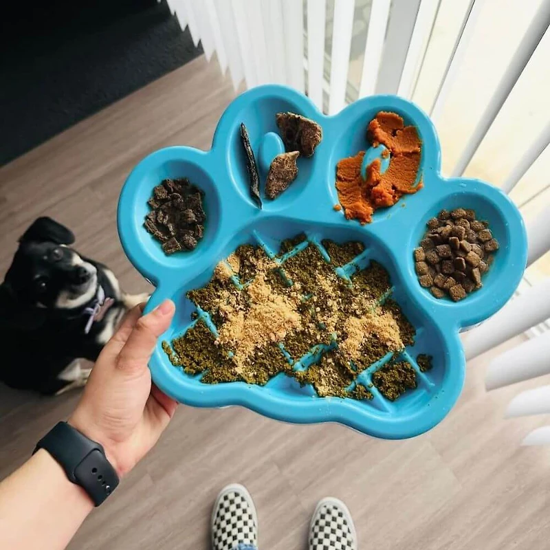 PetDreamHouse - Slow Paw Feeder - Blue