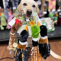 - Dog Toy - Crinkler Bird