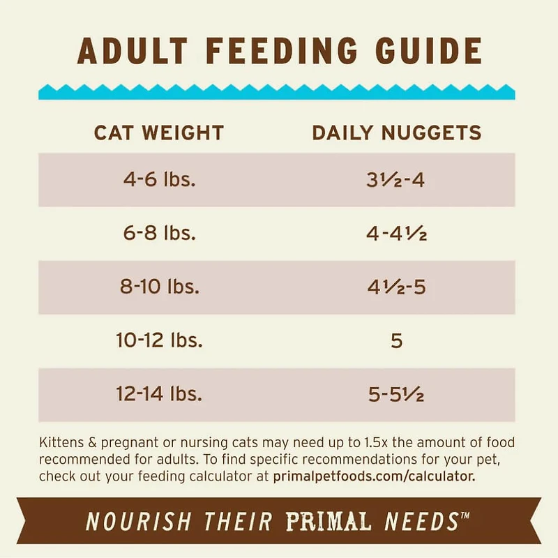 - Freeze Dried Cat Food Nuggets - Raw & Natural Nutrition - Chicken & Salmon Recipe