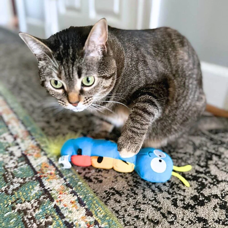 Huxley & Kent - Kittybelles Cat Toy – Large Plush Kicker with Catnip,  Crinkle & Feathers for Interactive Play & Exercise - Caterpillar