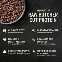 Vital Essentials - Freeze Dried Raw Dog Food - High Protein,  Grain Free & Limited Ingredient Crunchy Mini Nibs - Duck Entrée