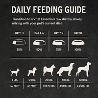 Vital Essentials - Frozen Raw Dog Food - High Protein,  Grain Free & Limited Ingredient Patties - Duck Entrée