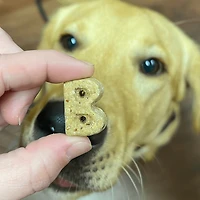 Bocce's Bakery - Crunchy Biscuits Dog Treats - Quack Quack