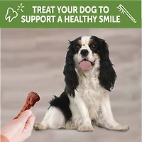 Dog Dental Treat - Brushzees Natural Grain Free Dental Chews