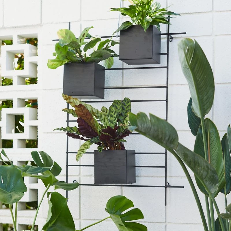 4 Box Wall Mounted Indoor/Outdoor Planter