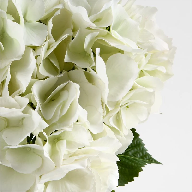Combe Faux Floral Bundle by Abigail Ahern