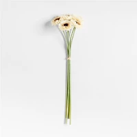 Faux Gerbera Daisy Stems 24", Set of 5 by Abigail Ahern