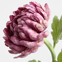 Faux Purple Chrysanthemum Stem 26" by Abigail Ahern