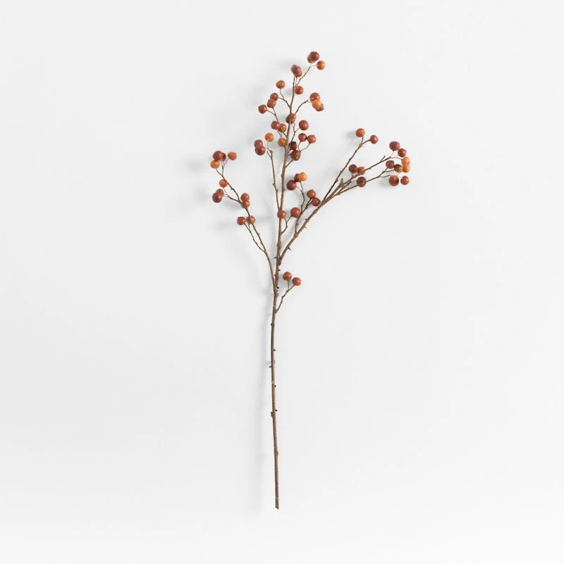 Faux Rose Hip Spray 34" by Abigail Ahern