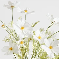 Faux White Cosmo Stem 35" by Abigail Ahern