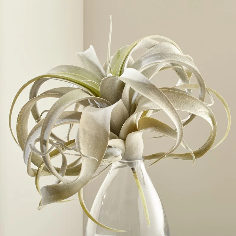 Faux Air Plant
