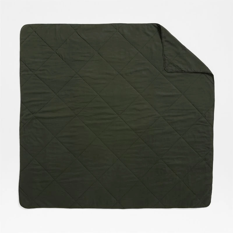 Aire Natural EUROPEAN FLAX ™-Certified Linen Ficus Green King Quilt
