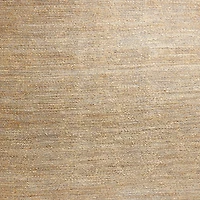 Ales Chenille and Jute/Cotton Blend Dark Blue Area Rug 9'x12'