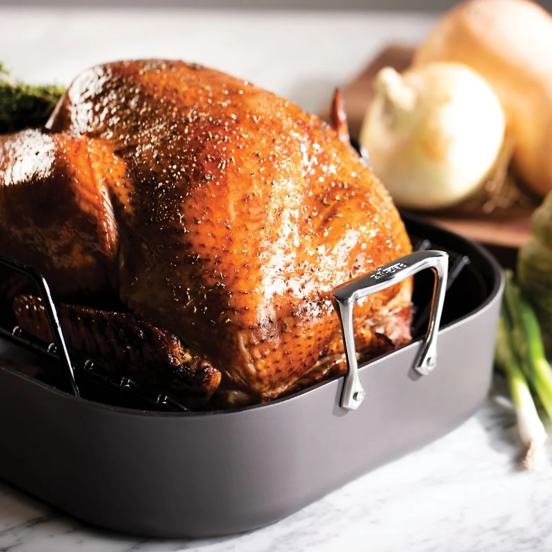 All-Clad ® HA1 16.5" Non-Stick Roasting Pan with Rack