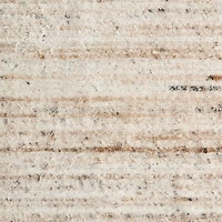 Antwerp Performance Handwoven Oatmeal White Area Rug 8'x10'