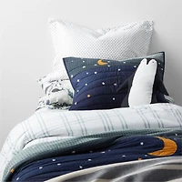 Arctic Kids Organic Twin Night Sky Pillow Sham