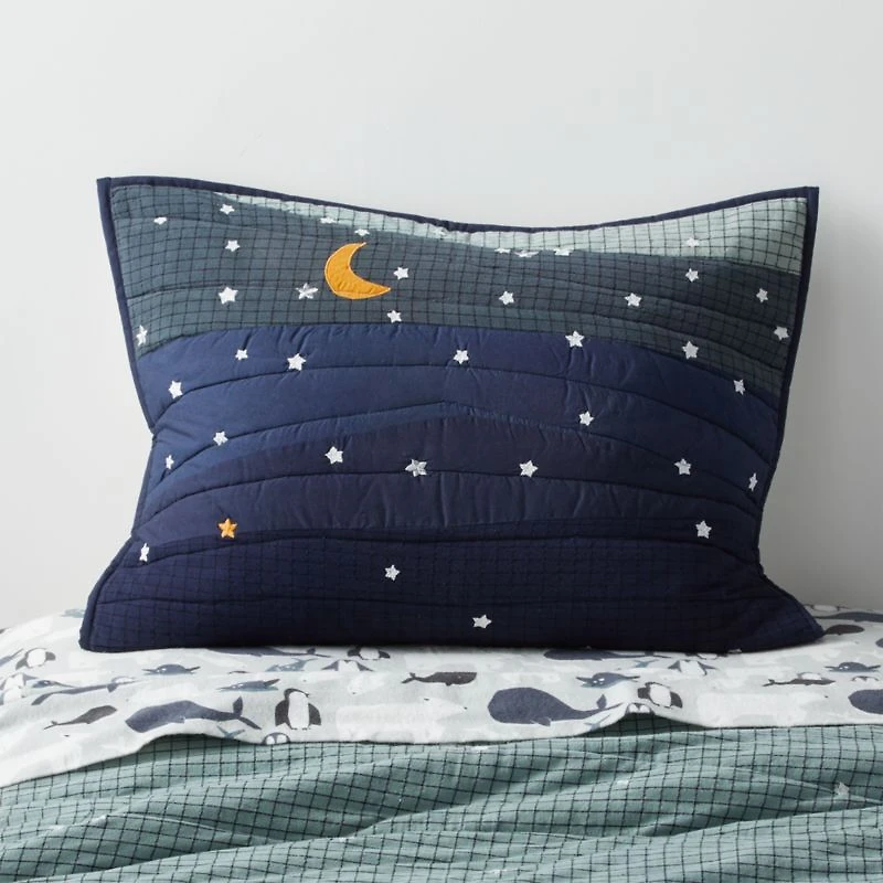 Arctic Kids Organic Twin Night Sky Pillow Sham
