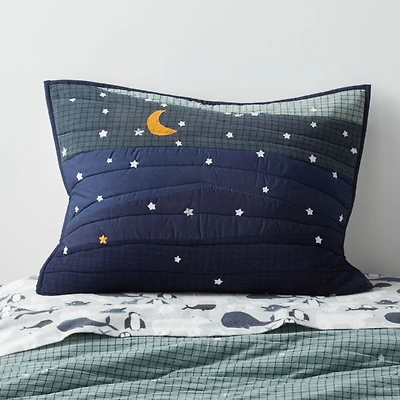 Arctic Kids Organic Twin Night Sky Pillow Sham