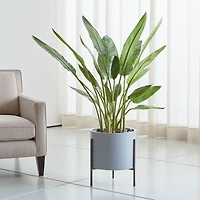 Faux Bird of Paradise Tree