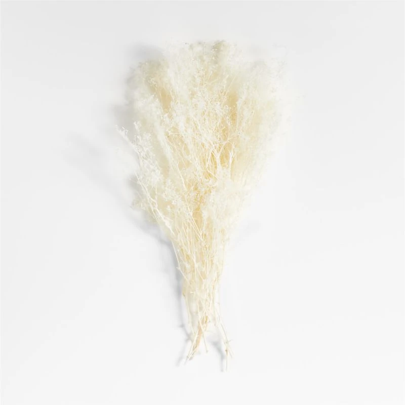 Bleached Galaxy Gyp Dried Botanical Bunch