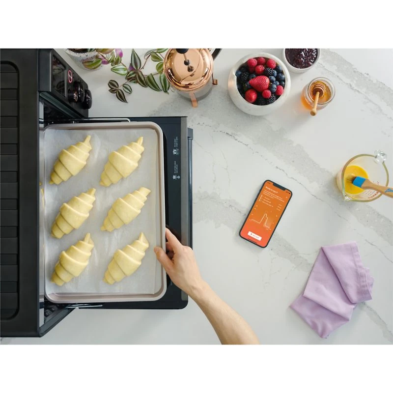 Breville ® Joule ® Oven Air Fryer Pro in Black Stainless Steel