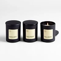 Bright Black Earth Seed Scented Candle - Lemongrass & Red Cedar