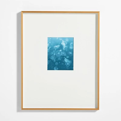 Brushed Brass Metal Picture Frame with White Mat 8x10