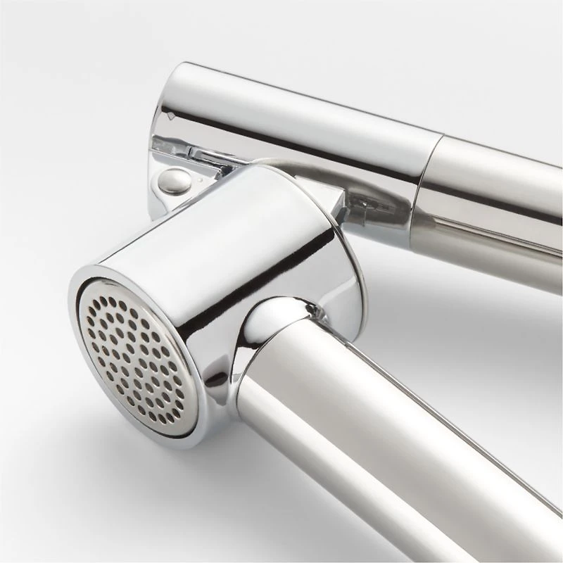 Crate & Barrel Stainless Steel Garlic Press