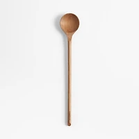 Crate & Barrel Acacia Tasting Spoon