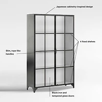 Kedzie 48" Black-and-White Iron Storage Display Cabinet
