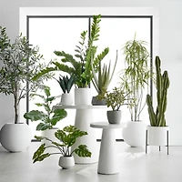 Potted Faux Jade Plant