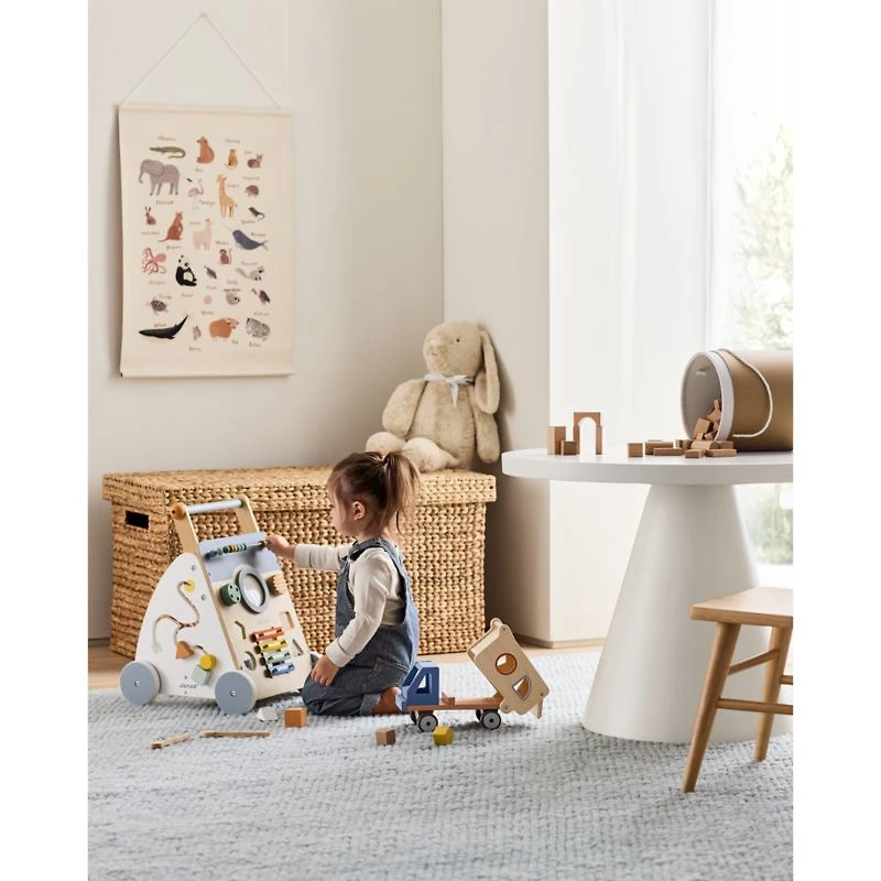 Janod Sweet Cocoon Multi Activity Baby Push Walker