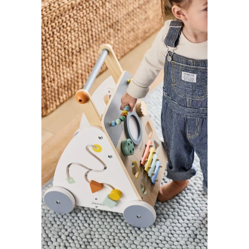Janod Sweet Cocoon Multi Activity Baby Push Walker