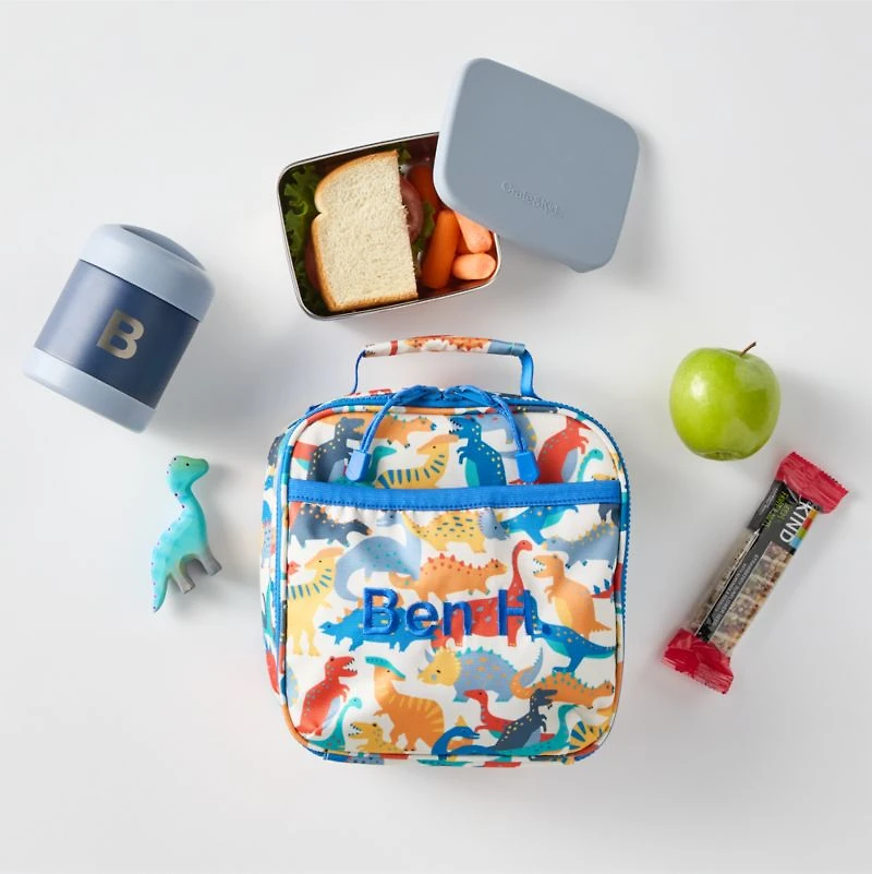 Dreamer Dino Party Standard Soft Insulated Kids Lunch Box