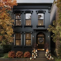 Faux Pre-Lit Black Branch Tree 3'