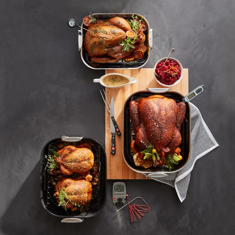 All-Clad ® HA1 16.5" Non-Stick Roasting Pan with Rack