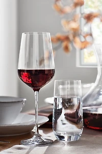 Hip 19-Oz. Red Wine Glass