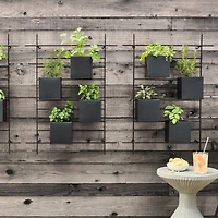 4 Box Wall Mounted Indoor/Outdoor Planter