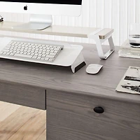 Kendall Dove Desk