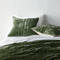 Juliet Agave Velvet Euro Sham
