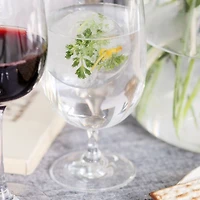 Marin 20-oz. Water Goblet