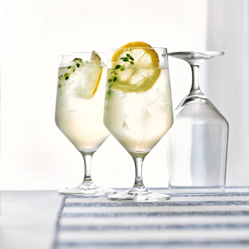 Schott Zwiesel Tour 15-Oz. Tall Cocktail Glass