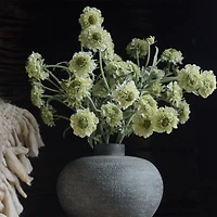 Faux Green Scabiosa Stem 24" by Abigail Ahern