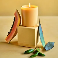 Monochrome No. 15 Sunrise -Wick Scented Candle - Papaya