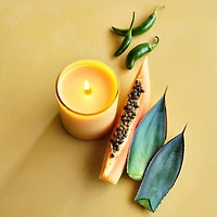 Monochrome No. 15 Sunrise -Wick Scented Candle - Papaya