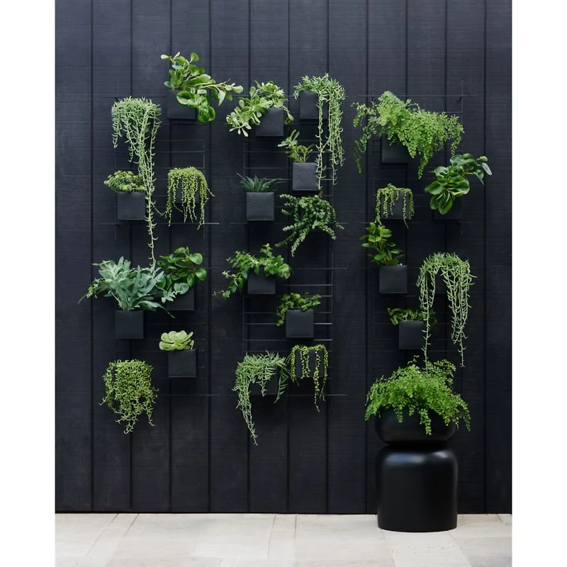 4 Box Wall Mounted Indoor/Outdoor Planter