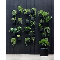 4 Box Wall Mounted Indoor/Outdoor Planter