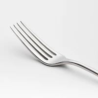 Caesna Satin Dinner Fork