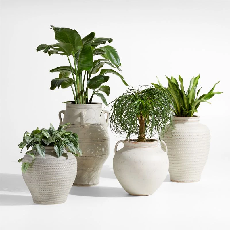 Cannes 29" Earthenware Indoor/Outdoor Planter by Laura Kim