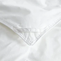 Classic Organic Cotton Down-Alternative Lightweight Twin Duvet Insert